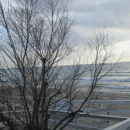 Grecale *